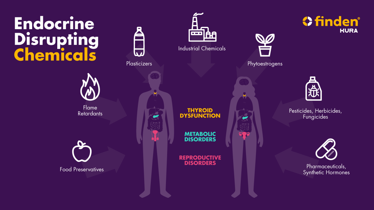 Detecting Endocrine Disrupting Chemicals in Human Urine Advancements